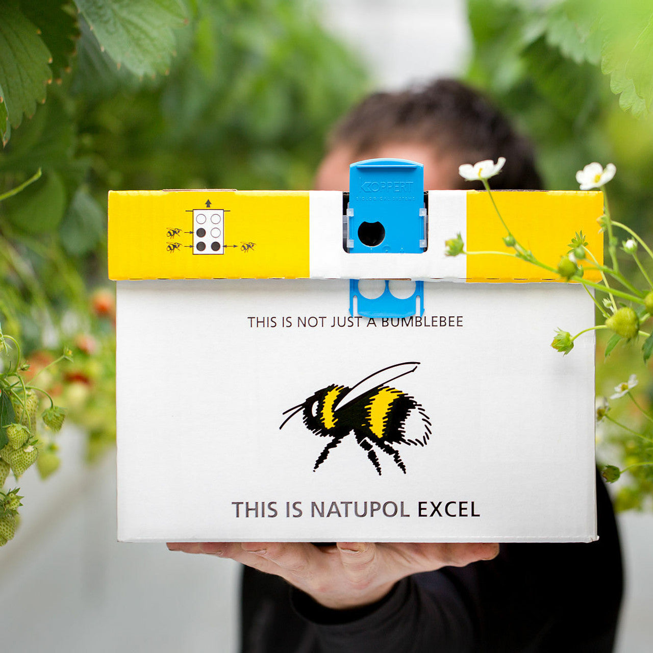 Natupol Excel Bumblebee Greenhouse Natural Pollinator
