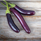 Fingerling Long Purple Aubergine