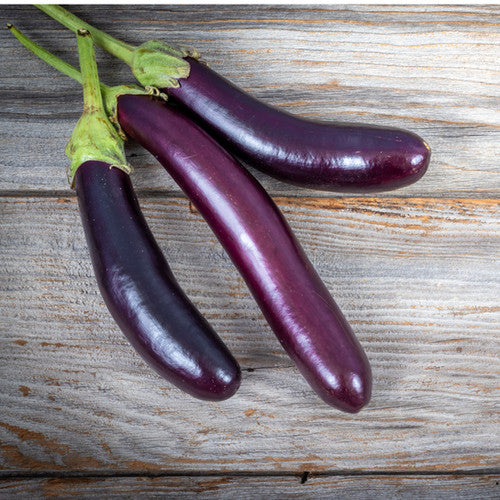 Fingerling Long Purple Aubergine