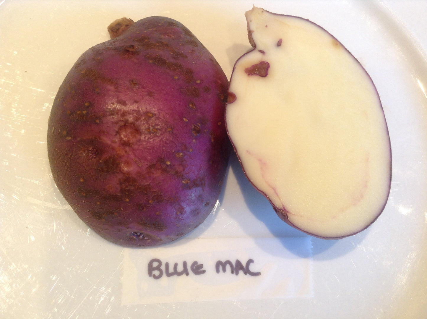 Blue Mac Potato online shopping