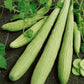 Armenian Cucumber Seeds online shopping