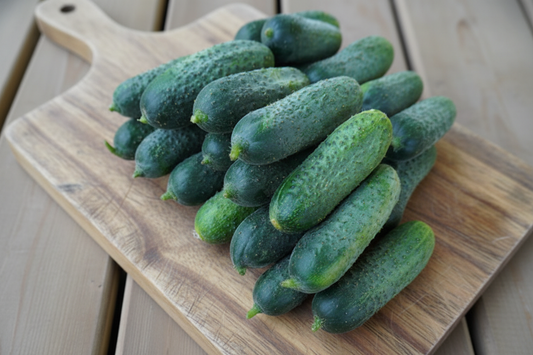 Anya F1 Cucumber Seeds online shopping