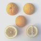 Citrumelo CRC 1452 Trifoliate Hybrid Budwood citrus plant material online shopping