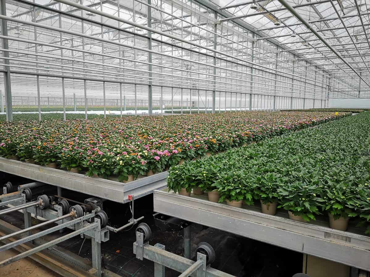 Active Aqua 4' Wide Infinity Tray  Ebb and Flow Flood Table