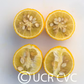 Pomeroy Trifoliate Budwood citrus plant material online shopping
