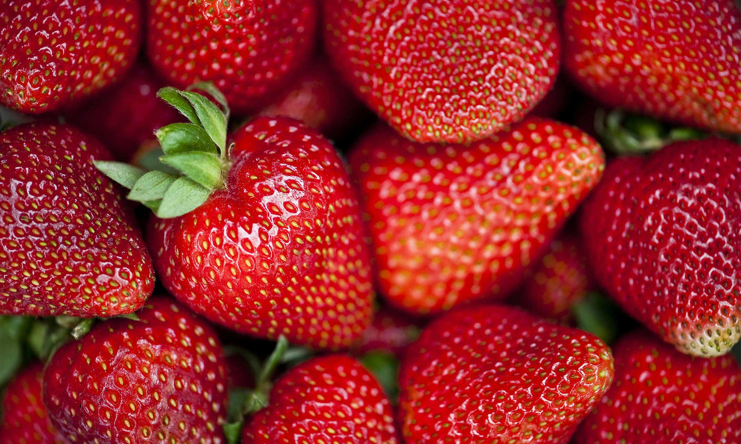 Darselect Mid Season Strawberry