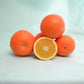 Fisher Navel Orange Budwood citrus plant material online shopping