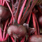 Bull's Blood Beet Seeds online shopping