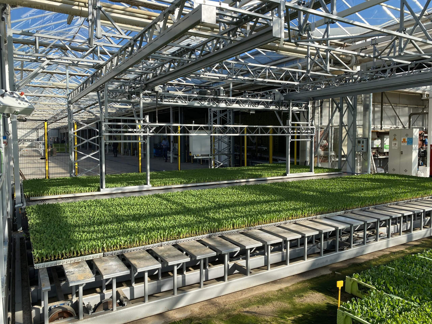 Viscon XY Greenhouse Internal Transport