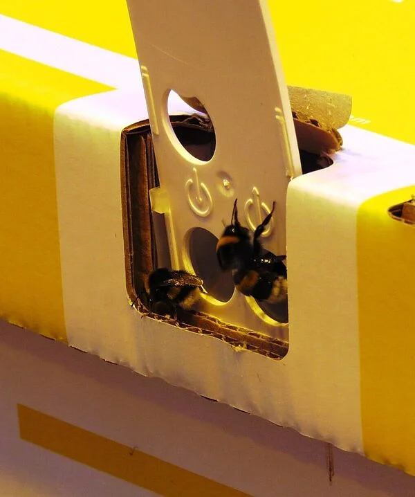 Natupol Booster Bumblebee Field Natural Pollinator