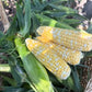 Solstice F1 Corn