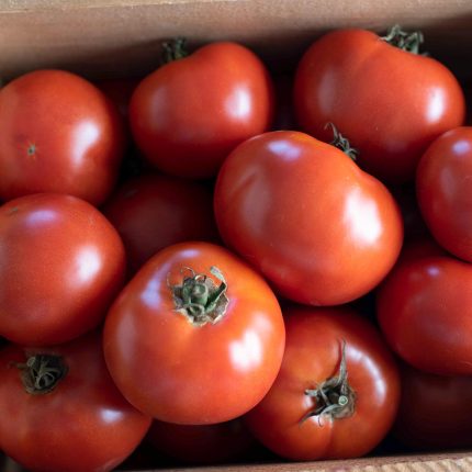 Damsel Organic Tomato