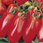 San Marzano Lampadina  Organic Tomato