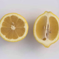 Limoneira 8A Lisbon Lemon Budwood citrus plant material online shopping