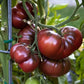 Black Krim Organic Tomato