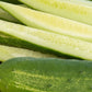 Olympian F1 Cucumber Seeds online shopping