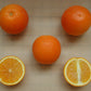 Cadenera Sweet Orange Budwood citrus plant material online shopping