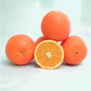 T.I. Zimmerman Navel Orange Budwood citrus plant material online shopping