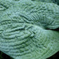 Rembrandt Blue Hosta Plants online shopping