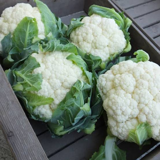 Synergy F1 Cauliflower
