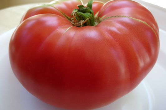 Mortgage Lifter Organic Tomato Seeds online shopping