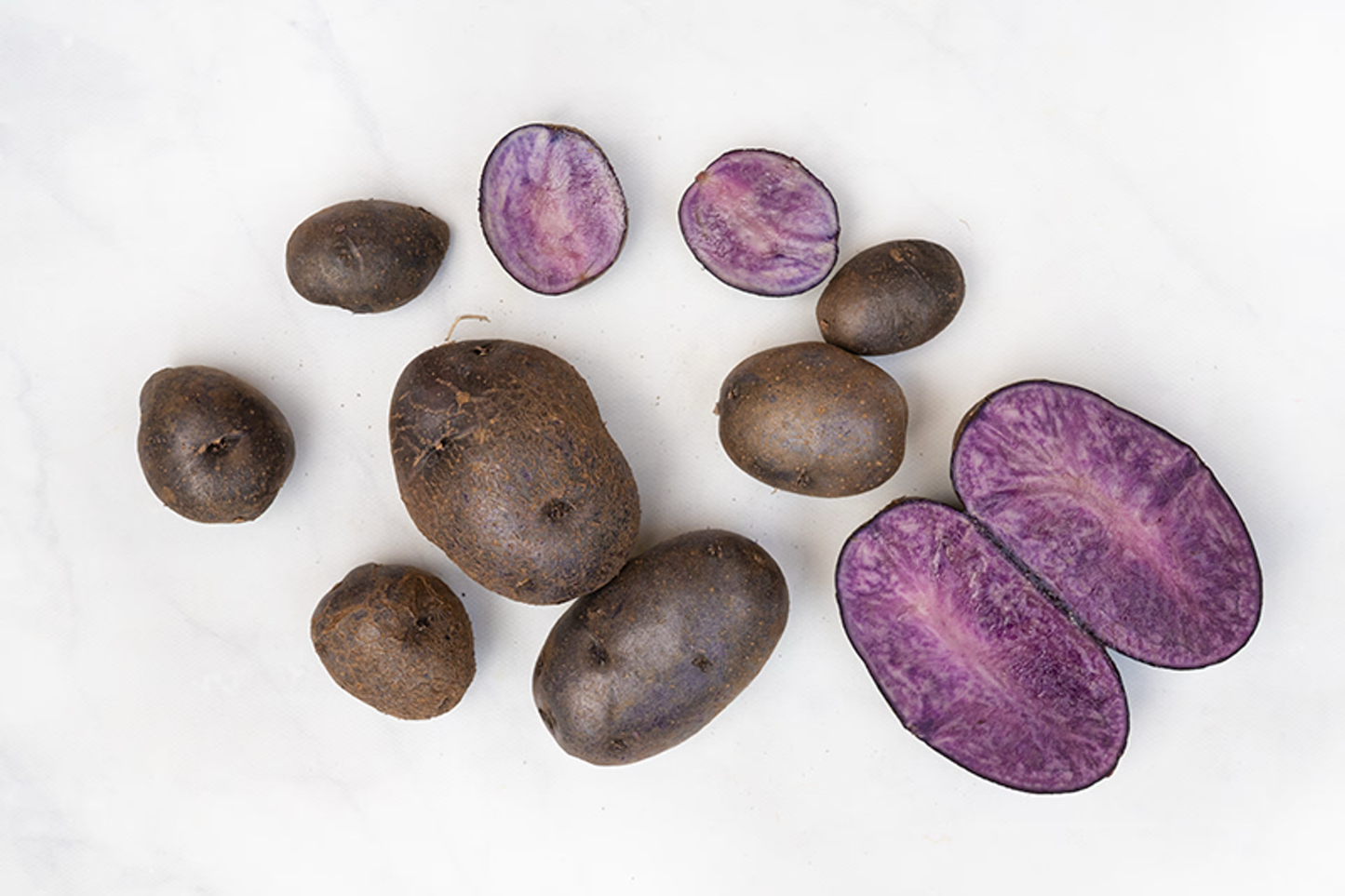 Adirondack Blue Seed Potato online shopping