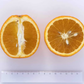Xuegan Sweet Orange Budwood citrus plant material online shopping
