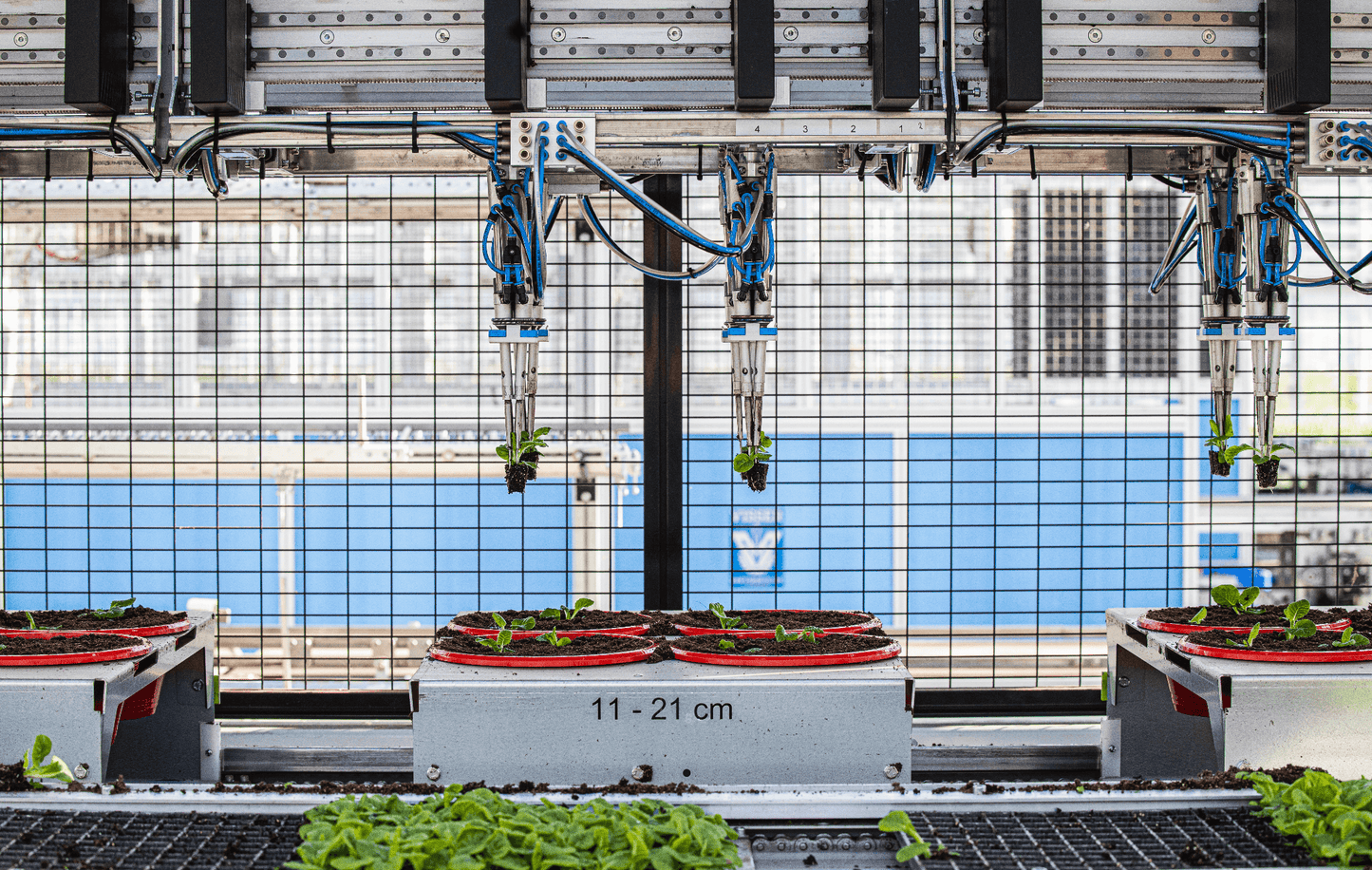 Viscon Pic O Mat Greenline Transplanter