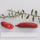 Ruby My Dear Australian Finger Lime Budwood citrus plant material online shopping