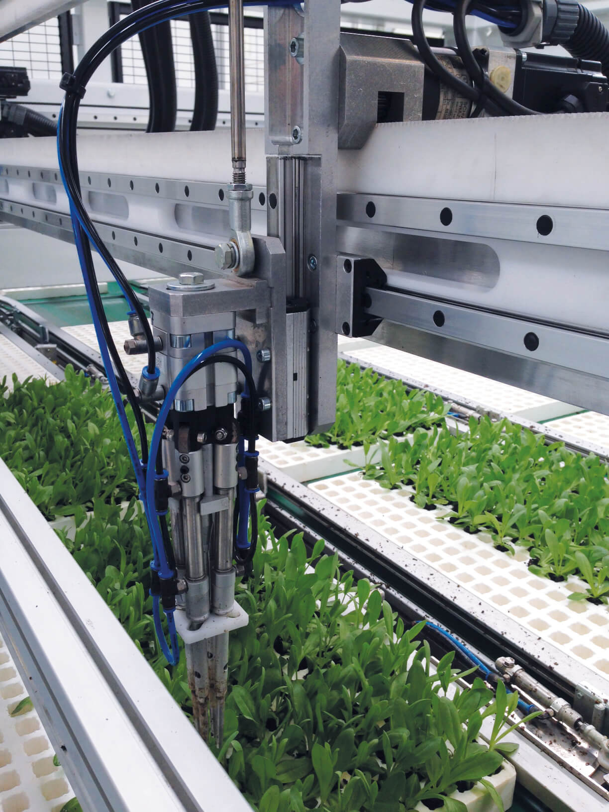 Viscon Select O Mat Grader Machine