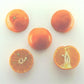 Michal Mandarin Budwood citrus plant material online shopping