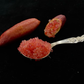 Pink Sunset Australian Finger Lime Budwood citrus plant material online shopping
