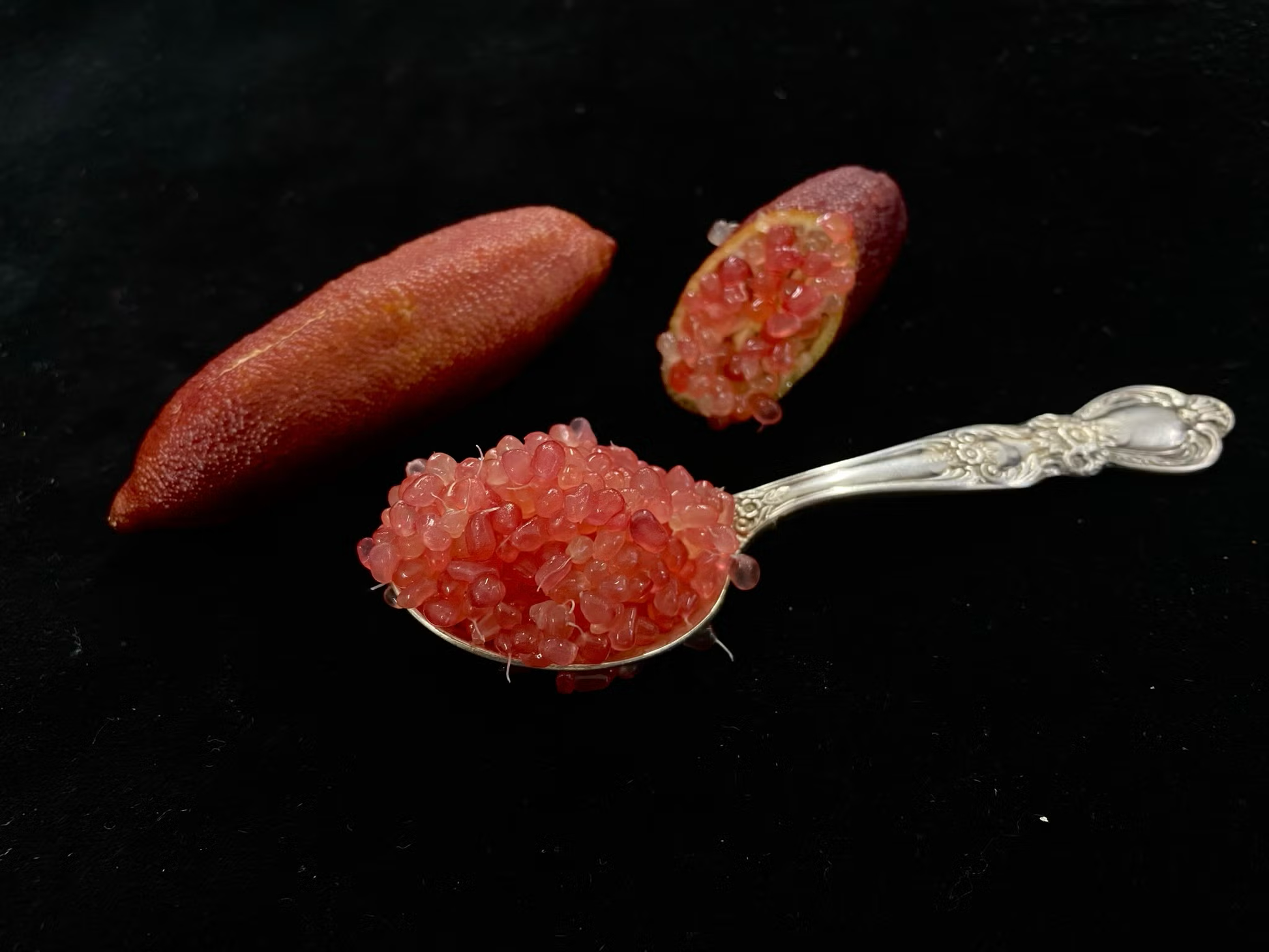 Pink Sunset Australian Finger Lime Budwood citrus plant material online shopping