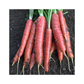 Redsun F1 Carrot