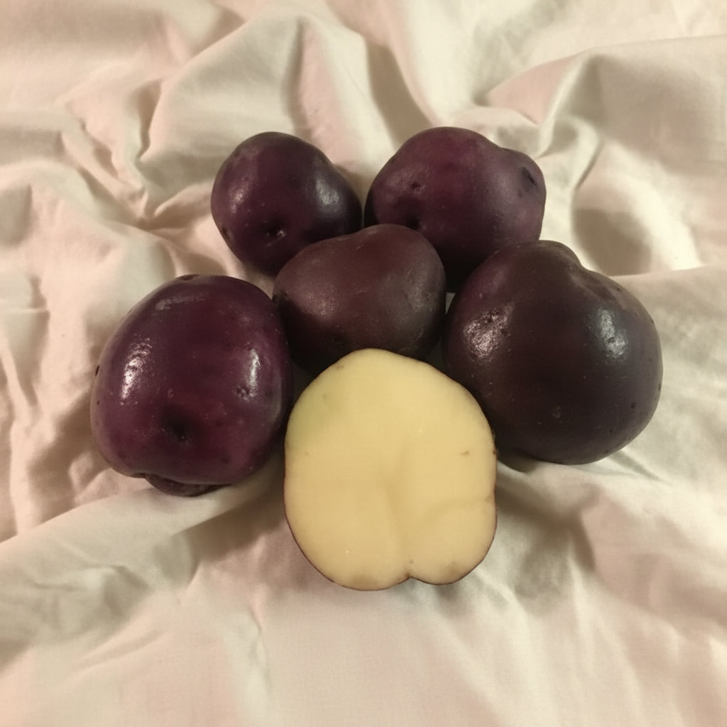 Purple Beauty Seed Potato online shopping