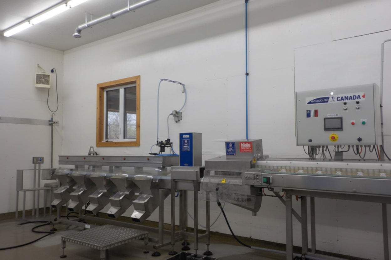 Hardouin Oyster Vision Grader automation online shopping