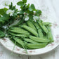 Dwarf Grey Sugar Snow Pea