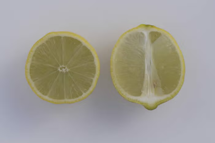 Bearss Lime Budwood citrus plant material online shopping