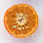 Tieu Mandarin Budwood citrus plant material online shopping
