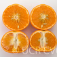 Fallglo Mandarin Budwood citrus plant material online shopping