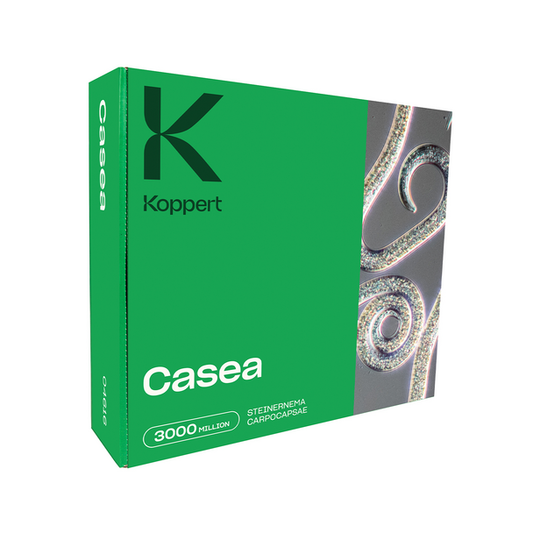 Casea Beneficial Nematode