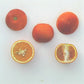 Ruby Blood Orange Budwood citrus plant material online shopping