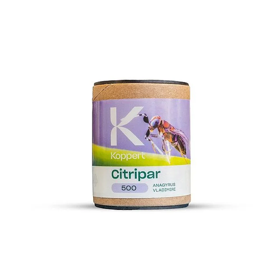 Citripar Parasitic Wasp