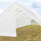 Cropking Free Standing Caterpillar Growing Tunnel Polytunnel Greenhouse