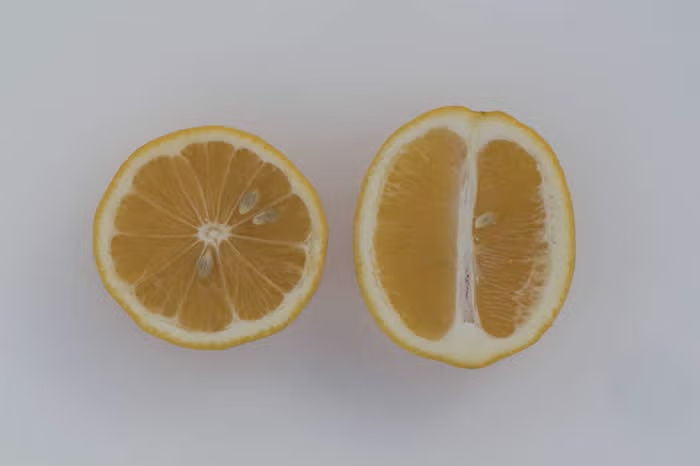 Improved Meyer Lemon Budwood citrus plant material online shopping