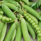 Alderman (Tall Telephone) Shelling Pea Seeds online shopping