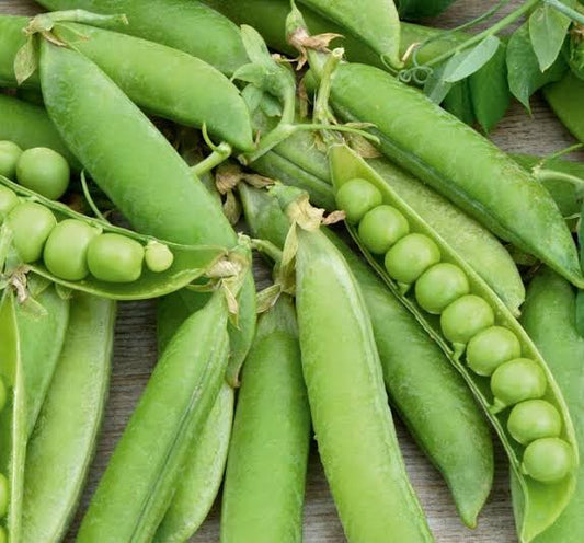 Alderman (Tall Telephone) Shelling Pea Seeds online shopping