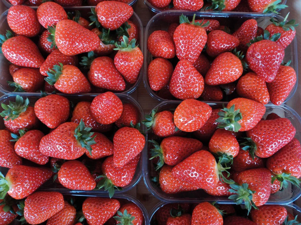 Darselect Mid Season Strawberry