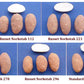 Russet Norkotah 278 Seed Potato online shopping