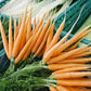 Little Fingers Carrot